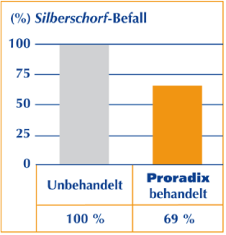 Diagramm: Silberschorf-Befall bei Proradix behandelten Kartoffeln um über 30% reduziert